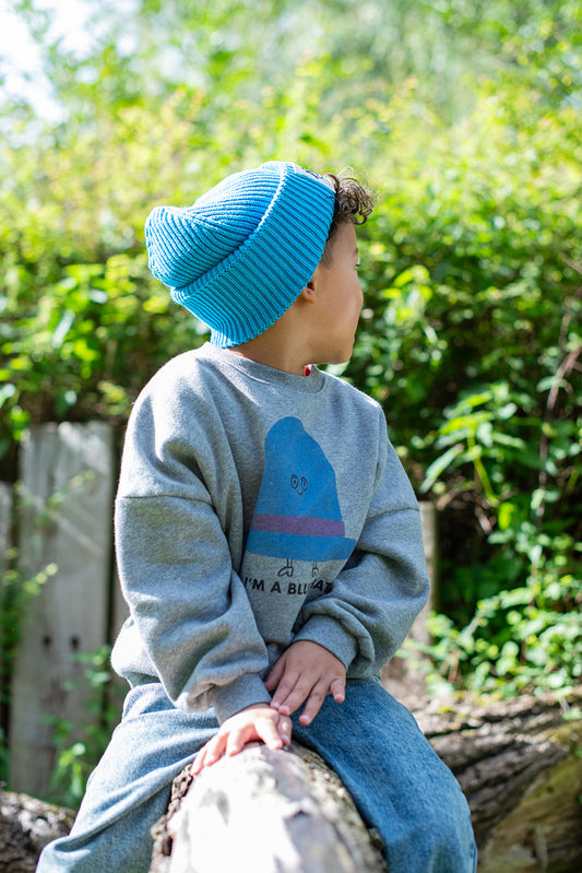 The Campamento BLUE HAT oversized sweatshirt