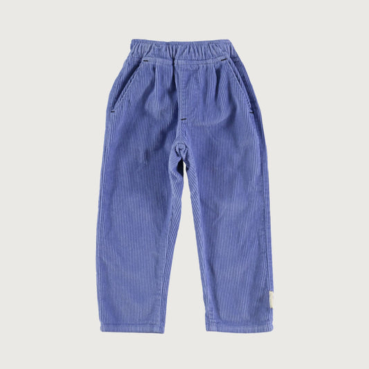 Piupiuchick PURPLE corduroy trousers