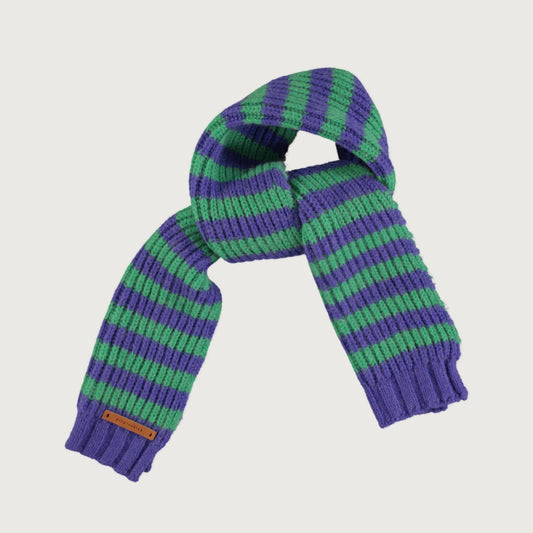 Piupiuchick knitted scarf with GREEN AND PURPLE STRIPES